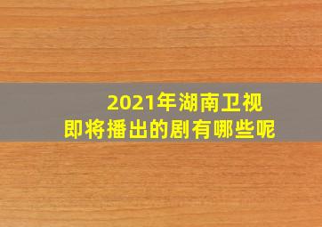 2021年湖南卫视即将播出的剧有哪些呢