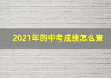 2021年的中考成绩怎么查