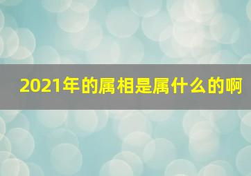 2021年的属相是属什么的啊