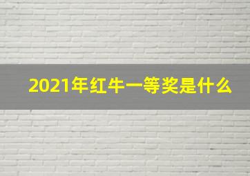 2021年红牛一等奖是什么