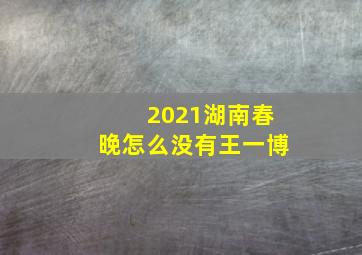 2021湖南春晚怎么没有王一博