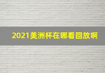 2021美洲杯在哪看回放啊