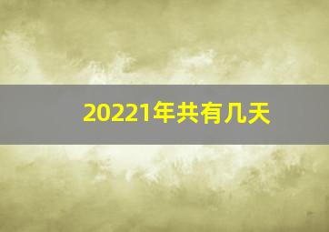 20221年共有几天