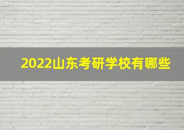 2022山东考研学校有哪些