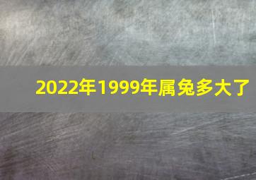 2022年1999年属兔多大了