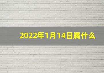 2022年1月14日属什么