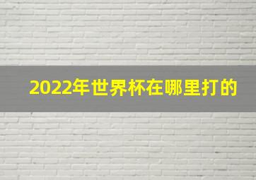 2022年世界杯在哪里打的