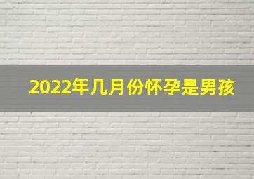 2022年几月份怀孕是男孩