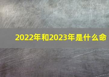 2022年和2023年是什么命