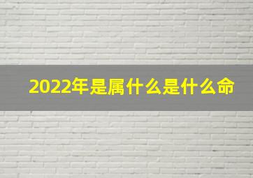 2022年是属什么是什么命