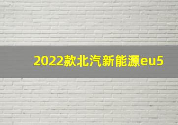 2022款北汽新能源eu5