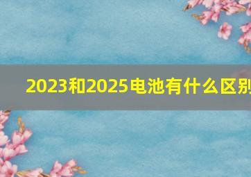 2023和2025电池有什么区别