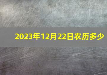 2023年12月22日农历多少