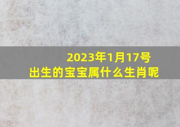 2023年1月17号出生的宝宝属什么生肖呢