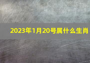 2023年1月20号属什么生肖