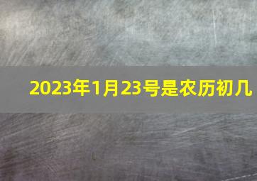 2023年1月23号是农历初几