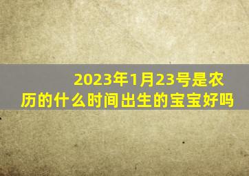 2023年1月23号是农历的什么时间出生的宝宝好吗