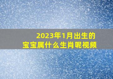 2023年1月出生的宝宝属什么生肖呢视频