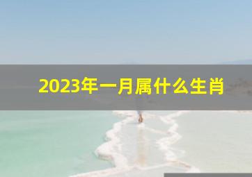 2023年一月属什么生肖