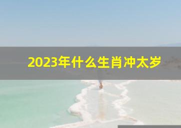 2023年什么生肖冲太岁