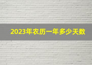 2023年农历一年多少天数