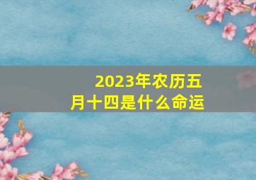 2023年农历五月十四是什么命运