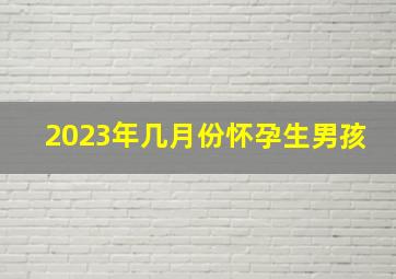 2023年几月份怀孕生男孩