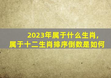 2023年属于什么生肖,属于十二生肖排序倒数是如何