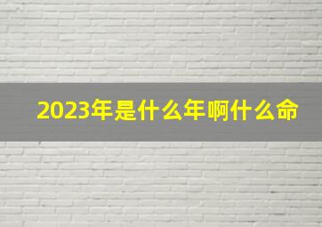 2023年是什么年啊什么命