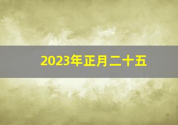 2023年正月二十五