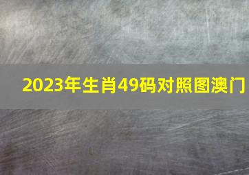 2023年生肖49码对照图澳门