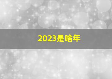 2023是啥年