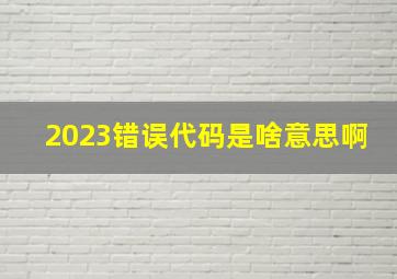 2023错误代码是啥意思啊