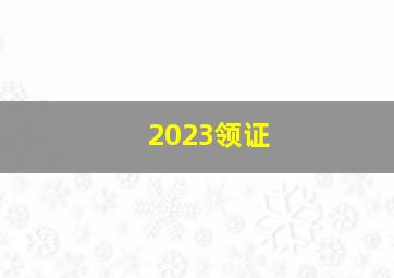 2023领证