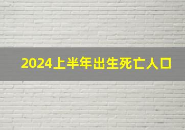 2024上半年出生死亡人口