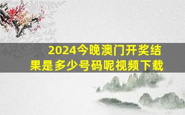 2024今晚澳门开奖结果是多少号码呢视频下载