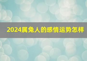 2024属兔人的感情运势怎样