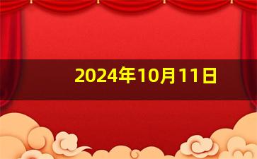 2024年10月11日