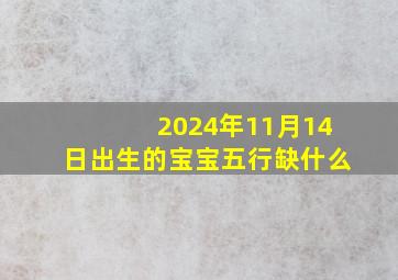 2024年11月14日出生的宝宝五行缺什么