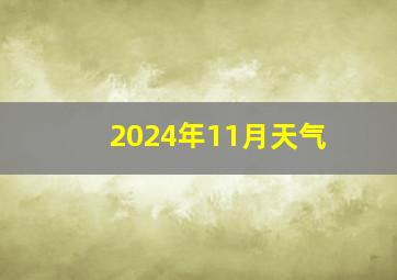 2024年11月天气