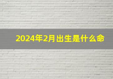 2024年2月出生是什么命