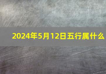 2024年5月12日五行属什么