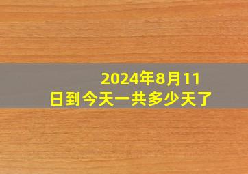 2024年8月11日到今天一共多少天了