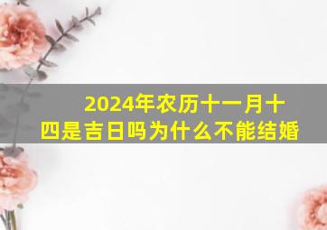 2024年农历十一月十四是吉日吗为什么不能结婚