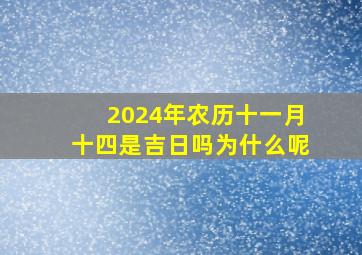 2024年农历十一月十四是吉日吗为什么呢