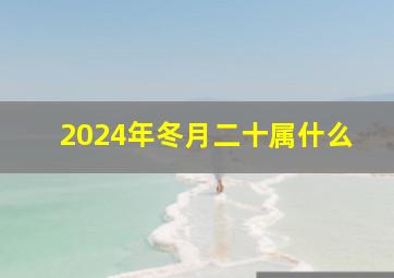 2024年冬月二十属什么