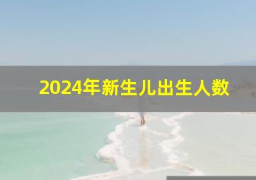 2024年新生儿出生人数