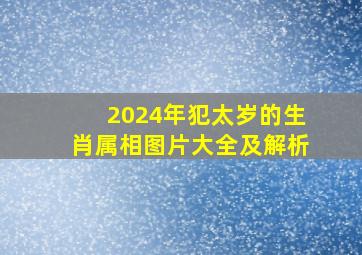 2024年犯太岁的生肖属相图片大全及解析