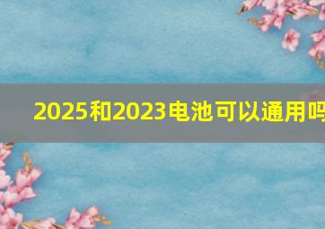 2025和2023电池可以通用吗