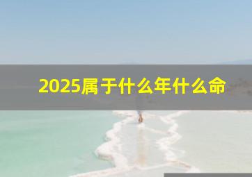 2025属于什么年什么命